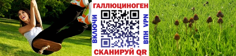 Галлюциногенные грибы Psilocybine cubensis  Чусовой 
